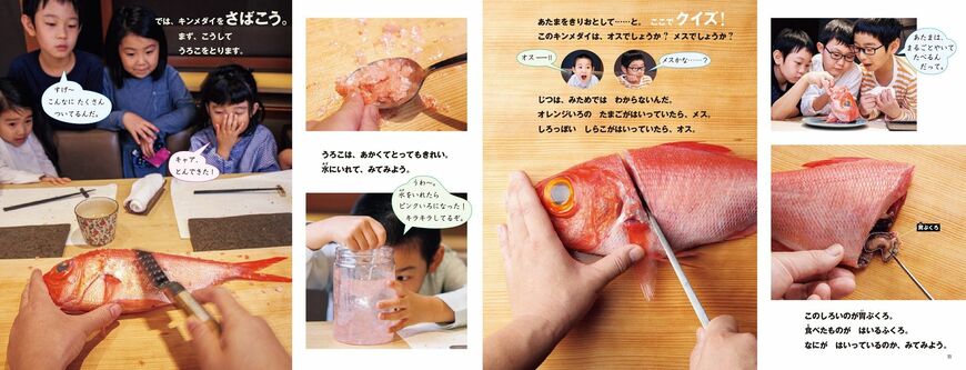 第69回産経児童出版文化賞JR賞、第27回日本絵本賞を受賞（画像：『おすしやさんにいらっしゃい！ 生きものが食べものになるまで』）