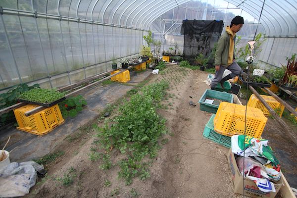 （写真：筆者撮影）