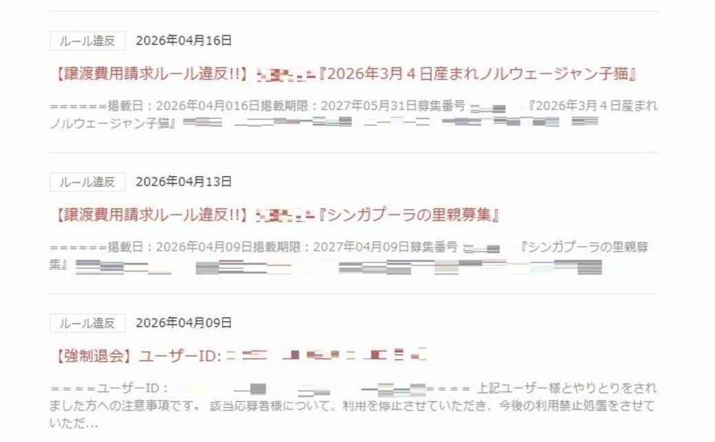 子犬安く譲ります