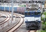 東十条付近を走るEF64形1000番台牽引の貨物列車（撮影：南正時）