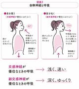 自律神経と呼吸