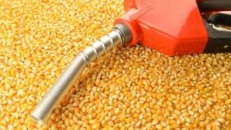 EV普及遅れで浮上｢バイオエタノール｣燃料の活路