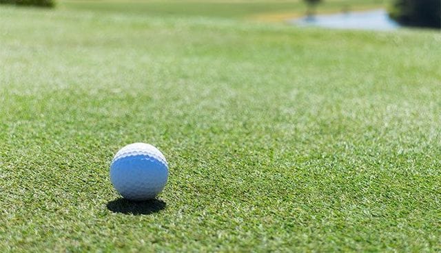 石川遼が吐露した ギャラリー激減 の危機感 ゴルフとおカネの切っても切れない関係 東洋経済オンライン 社会をよくする経済ニュース