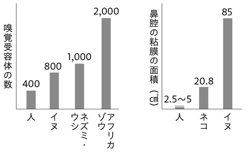 （図：『不思議でおもしろい動物たちの「からだの中」の話』より）