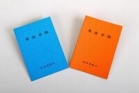 ｢最低保障年金｣の創設は可能か？ 浮かんでは消えるウルトラC政策