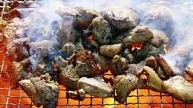 ｢チキン南蛮はまだ進化中｣｢真っ黒焼けがおいしそう｣宮崎といえば牛…の陰で､県民が愛してやまない"鶏文化"の世界