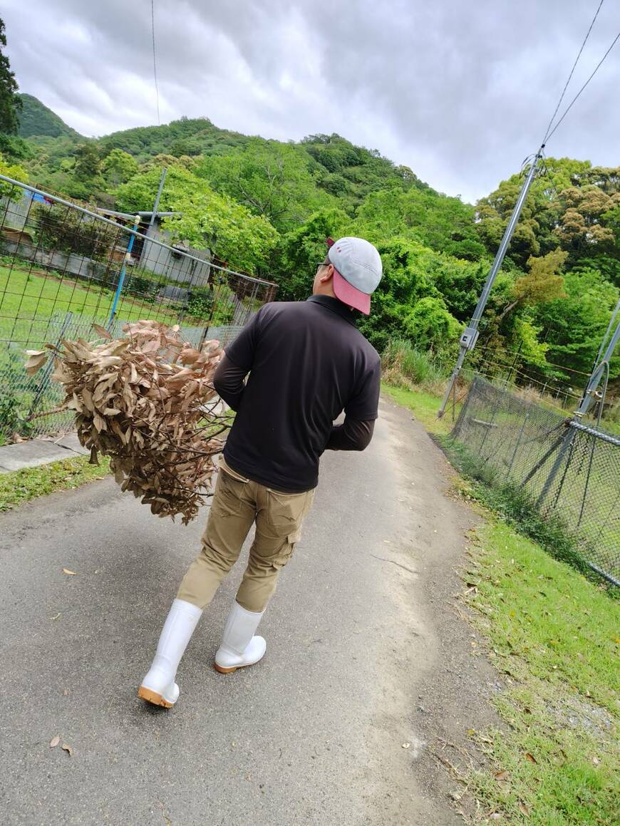集落の人に案内してもらっている様子。風が吹いた日のあとはこんなに大きな枝（？）が道に落ちているので、拾って山まで持っていきます（写真：筆者撮影）