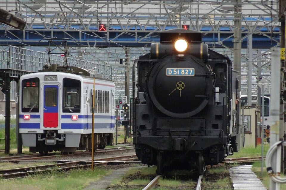 SLの王者｣D51形､日本全国を駆け巡った名場面 地域ごとに個性豊かな国民的機関車｢デゴイチ｣ | 旅・趣味 | 東洋経済オンライン