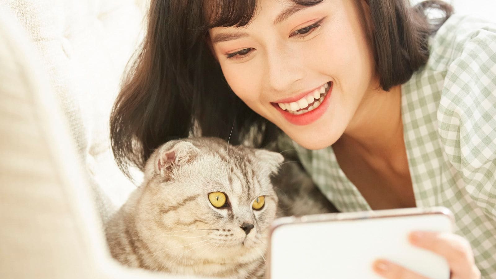 猫が人の言葉を理解しているという確かな根拠 ペット 東洋経済オンライン 社会をよくする経済ニュース