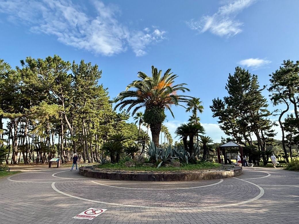 辻堂海浜公園