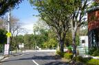 今回の再開発にあわせて廃道となった道路