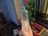 10時間の検証を終えた後にパシャリ。ちなみにハイビスカスは1日花なので、夜には花がつぼんでしまい、翌日には花が枯れてしまう（著者撮影）