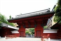 東大･外資エリートの美女が､幸薄いワケ 私の人生、成功したことがない？