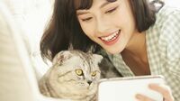 猫が人の言葉を理解しているという確かな根拠 縄張りという視点で人をよく観察している
