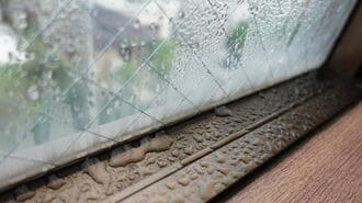 ｢家のカビ相談｣24年比で65％増の"深刻な理由"