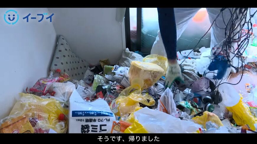 （画像：「イーブイ片付けチャンネル」より）