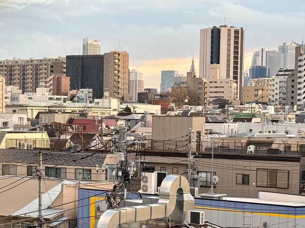 中井富士見橋から見る景色