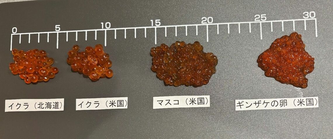 （写真：筆者提供）