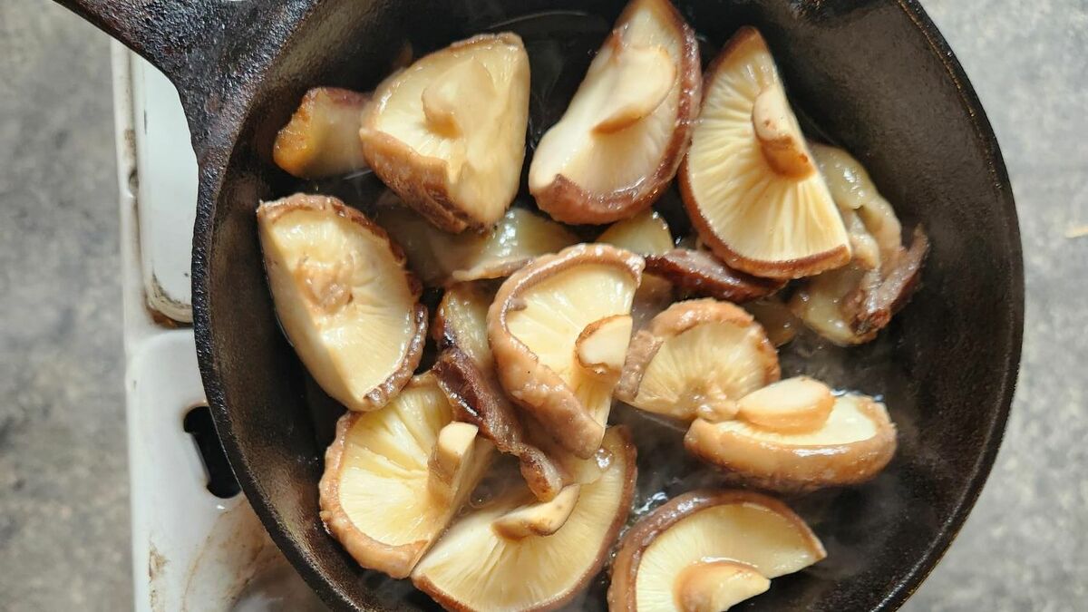 ｢アワビみたいなしいたけ｣に絶句した50代､広島･生口島の女性猟師が案内するジビエツアーで出会った