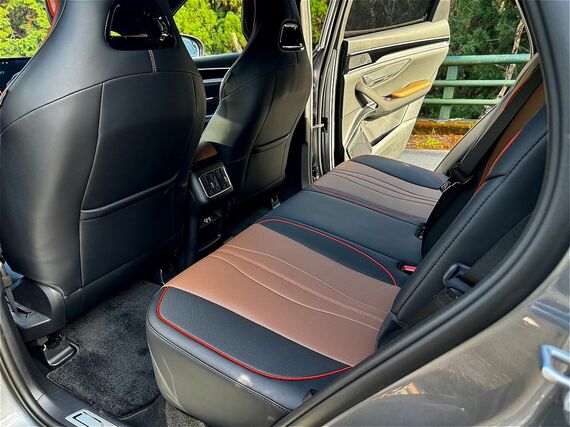 シーライオン6の後席