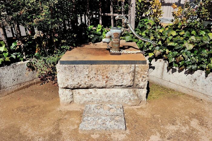 敷地内にはかつて使われていた井戸も残されている
