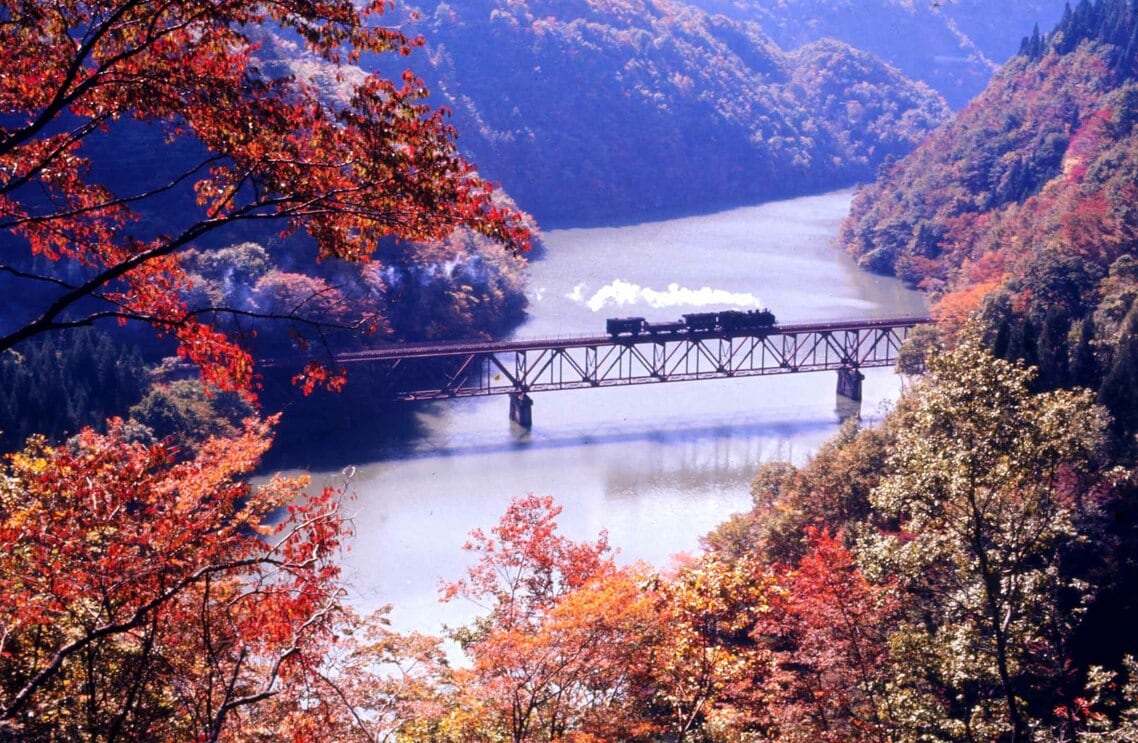 紅葉の第三只見川橋梁を行く蒸機牽引列車
