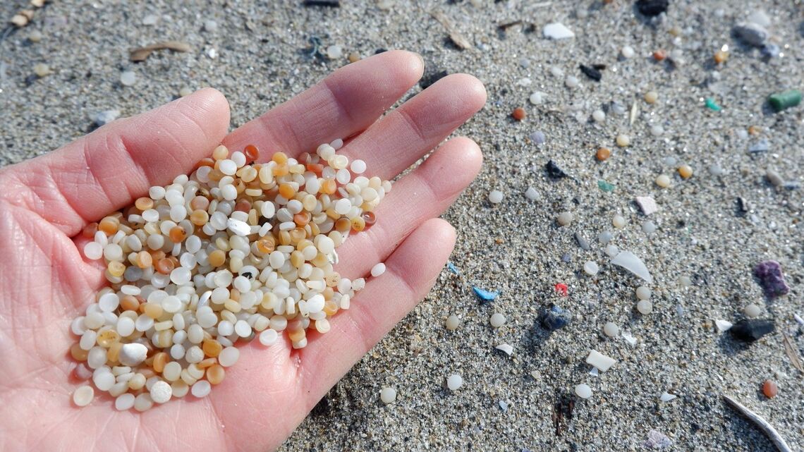 2026年度の東大入試ではマイクロプラスチックや森林環境税について出題されました（写真：ksaijo / PIXTA）