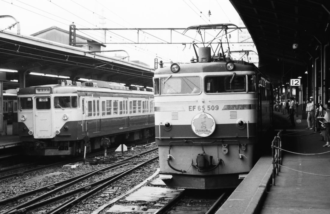 「さくら」は15時53分に東京駅12番線入線。発車前のホームは華やいだ雰囲気に包まれる（撮影：南正時）