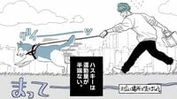 ｢大型犬のお散歩｣毎日汗だくになる飼い主の本音 漫画｢2人（匹）くらし。｣（第3話）