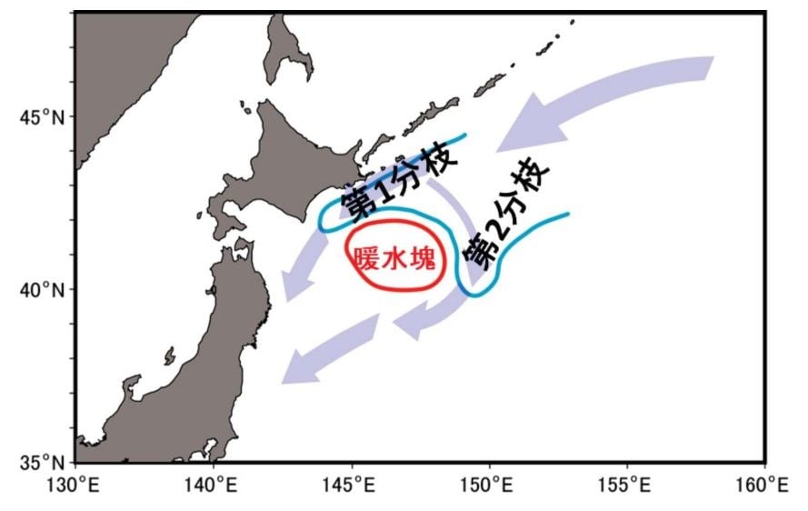 （出所）国立研究開発法人水産研究・教育機構「サンマ長期漁海況予報」