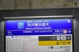 相模鉄道・羽沢横浜国大駅の駅名標（撮影：大澤誠）