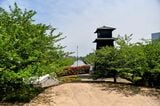  新川沿いには多くの桜が植樹され、季節には花見客で賑わう。広場にある火の見櫓が景色のアクセントにもなる（筆者撮影） 