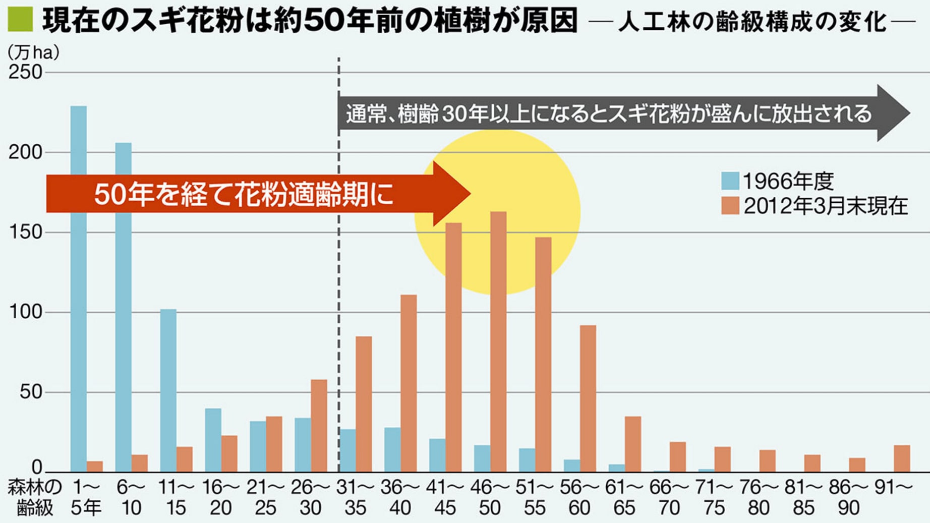 花粉症対策スギ の普及が進まない根本理由 健康 東洋経済オンライン 社会をよくする経済ニュース