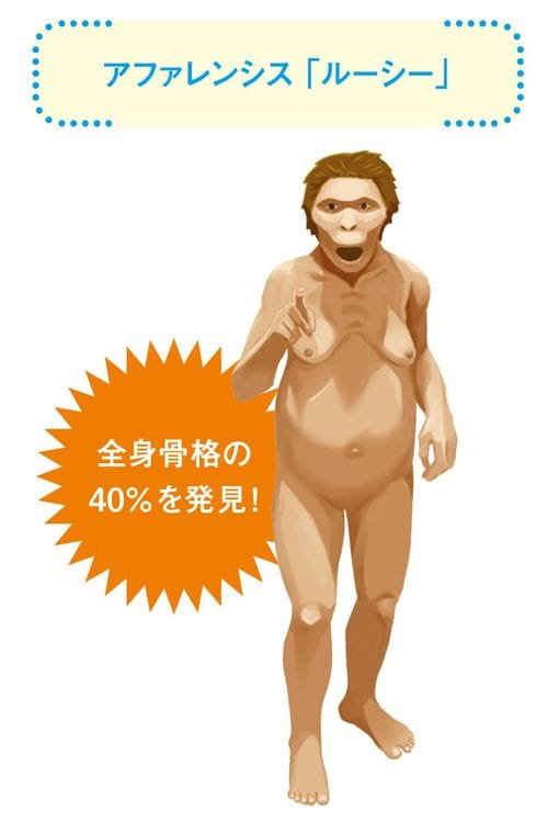 人類の起源