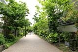 世田谷代田駅　下北線路街