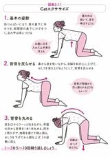 Catエクササイズ