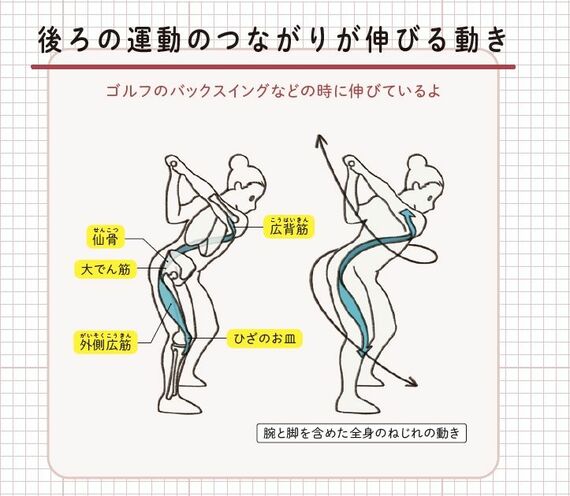 運動のつながり