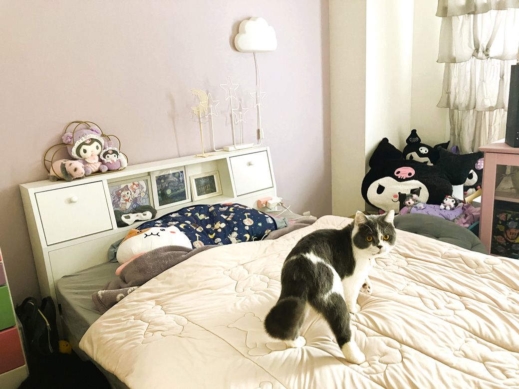 大好きなキャラクターグッズに囲まれた寝室