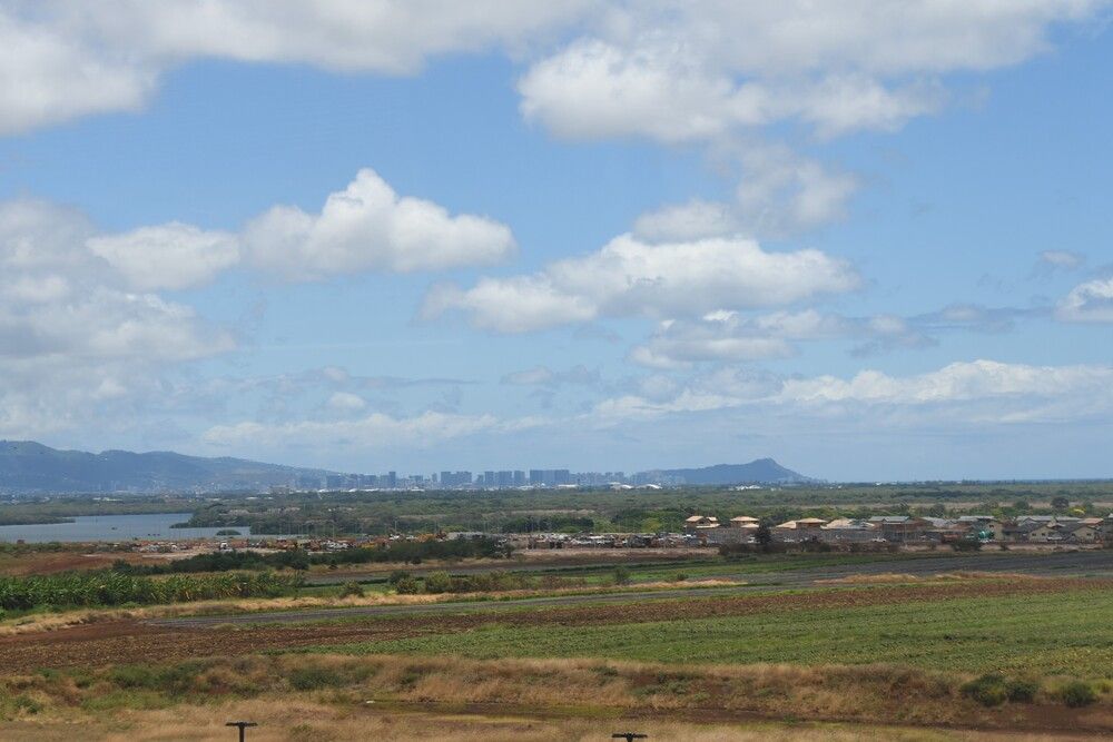 遠くに見えるダイヤモンドヘッド（記者撮影）