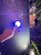 ボタンを押すと歌が流れるぞ（筆者撮影）