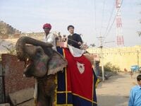 エリートたちのキャリア・恋愛事情<最終章> インドで悟った真実の愛