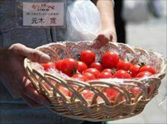 イトーヨーカ堂が「風評被害」のいわき産ハウストマト積極販売へ、１６日から首都圏１１０店で開始