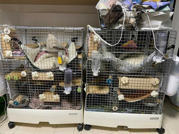 ミユキさん宅のケージ