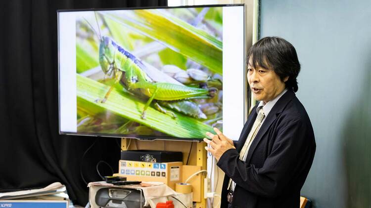 実践家凄腕教員の思考】学校でしなやかに生きるということ【石川