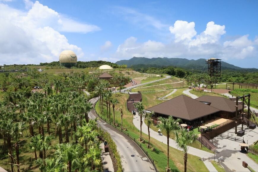 ジャングリア沖縄