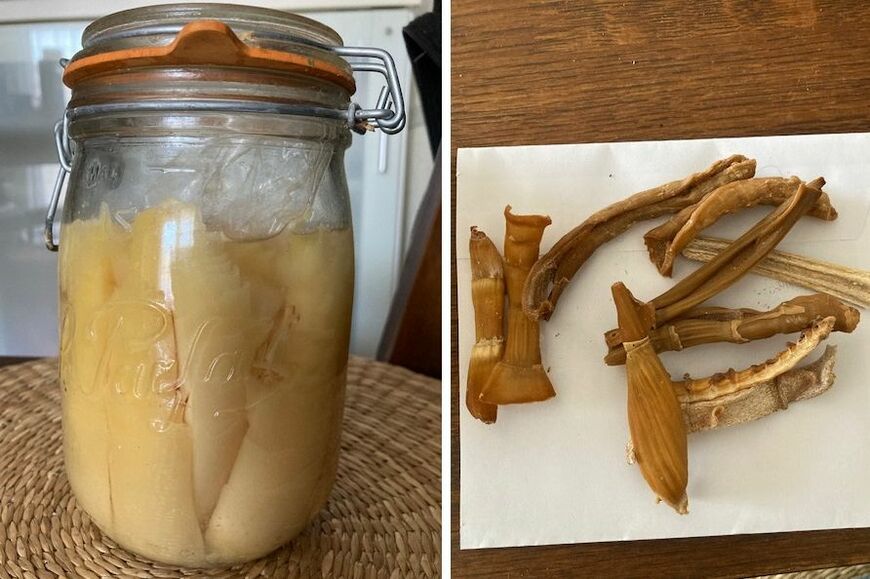 筆者が作った発酵たけのこ（写真：筆者撮影）