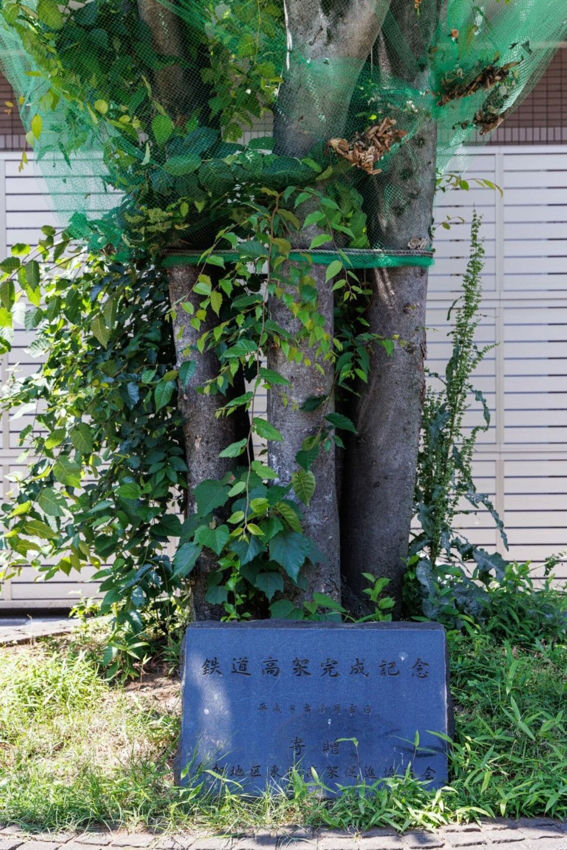 草加駅のロータリーの片隅には、高架記念の植樹も