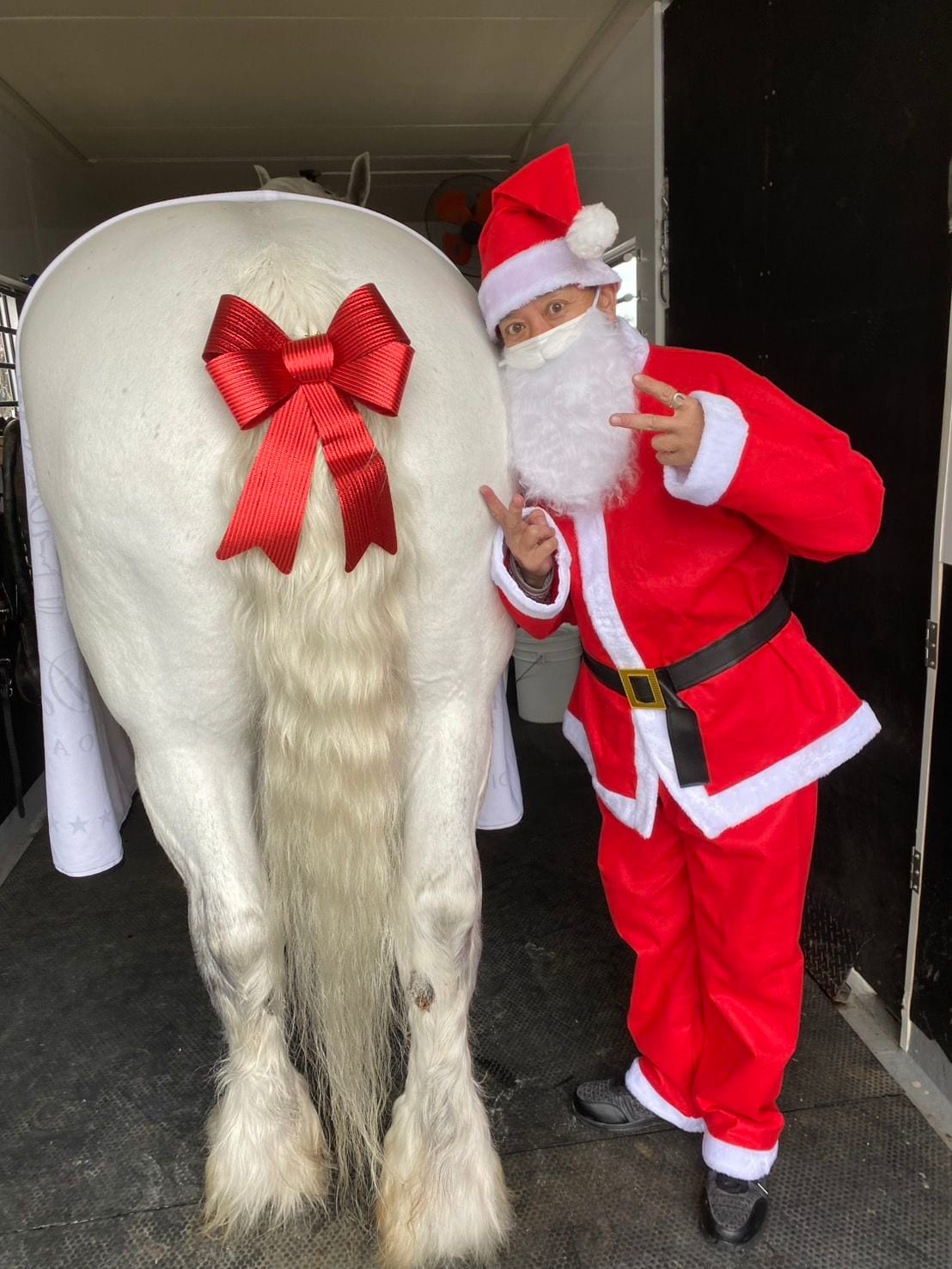 リボンで着飾った白馬とサンタの貞松さん