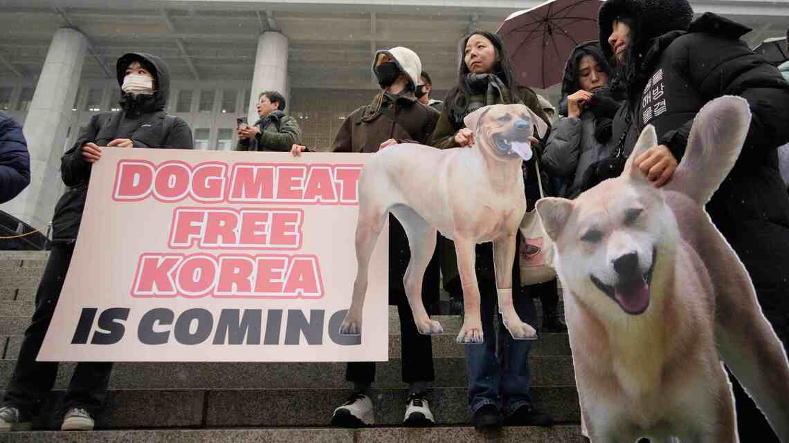 犬食禁止特別法