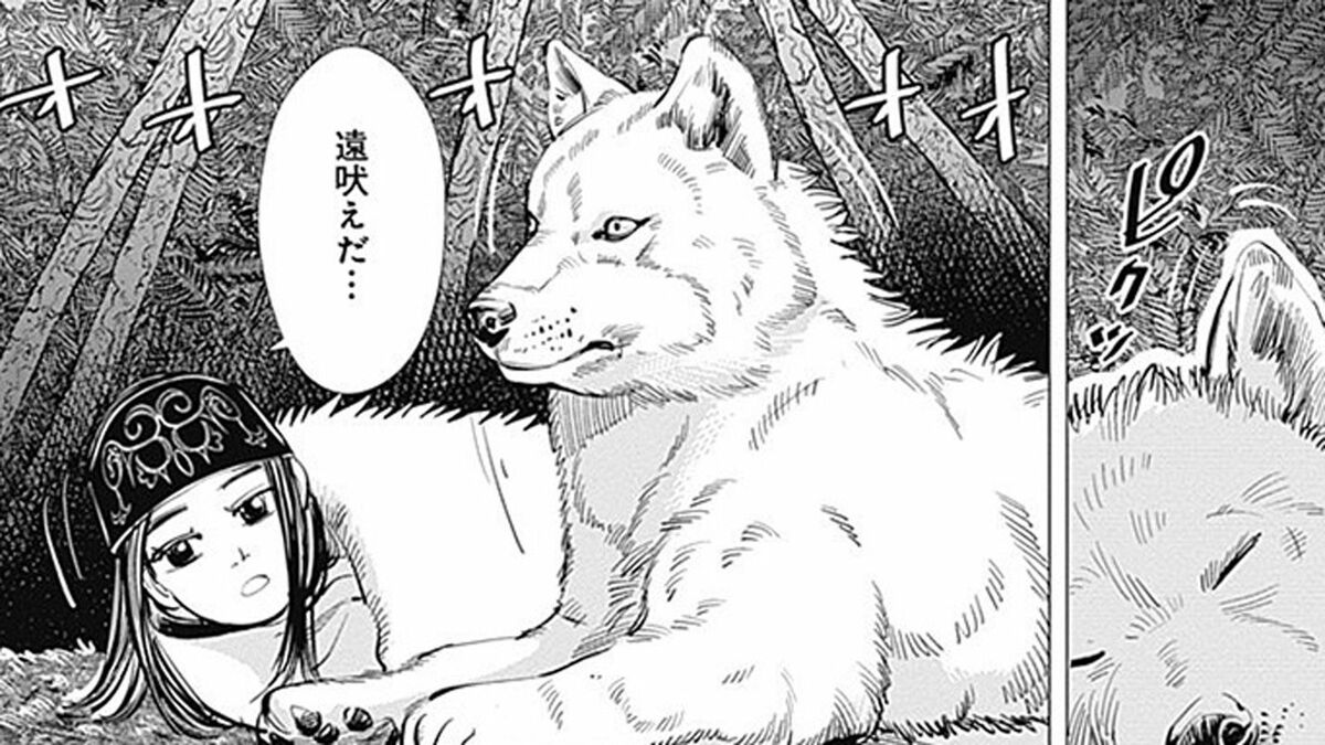 カワウソの頭の｢丸ごと煮｣食べた人の率直な感想 漫画｢ゴールデンカムイ｣14話 | ゴールデンカムイ | 東洋経済オンライン